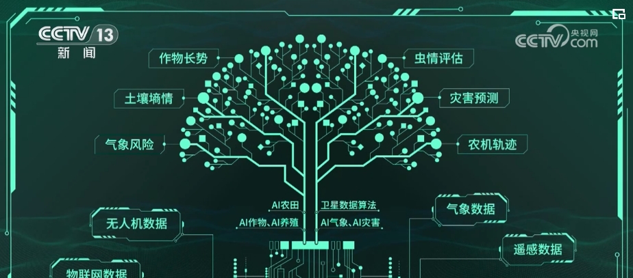 “種地種出成就感”！衛(wèi)星巡田、遠程田管農(nóng)業(yè)生產(chǎn)煥發(fā)新活力(圖3)
