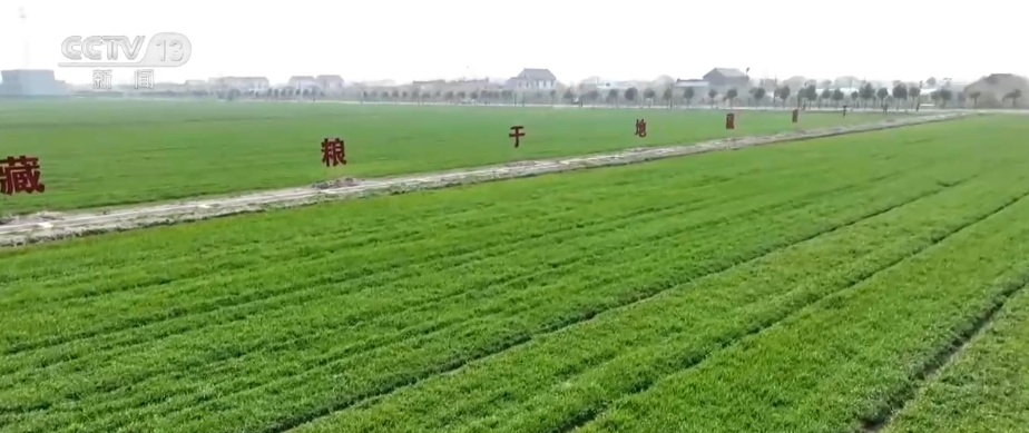 “種地種出成就感”！衛(wèi)星巡田、遠程田管農(nóng)業(yè)生產(chǎn)煥發(fā)新活力(圖14)