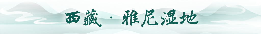 content=b(圖9)