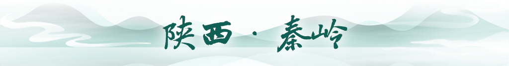 content=b(圖11)