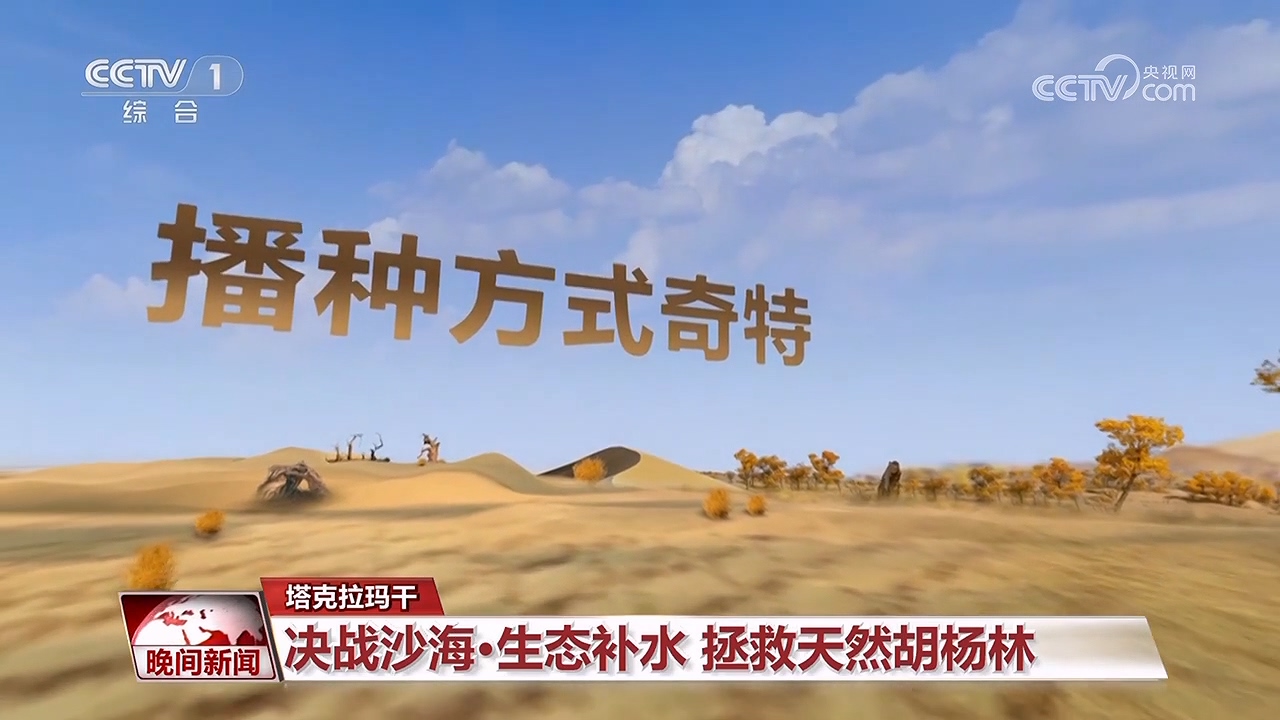 決戰(zhàn)沙海｜護河守林潤綠洲(圖7)