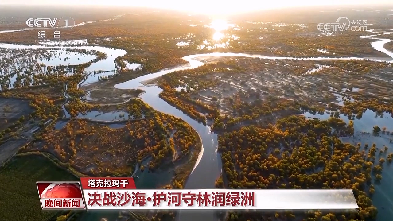 決戰(zhàn)沙海｜護河守林潤綠洲(圖1)