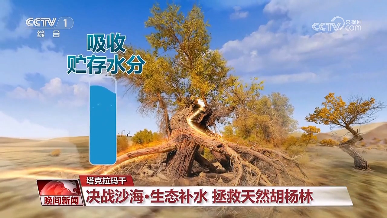 決戰(zhàn)沙海｜護河守林潤綠洲(圖9)