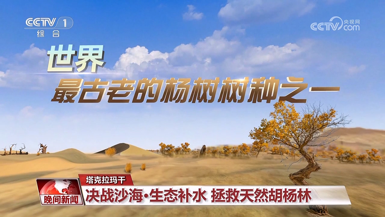 決戰(zhàn)沙海｜護河守林潤綠洲(圖6)