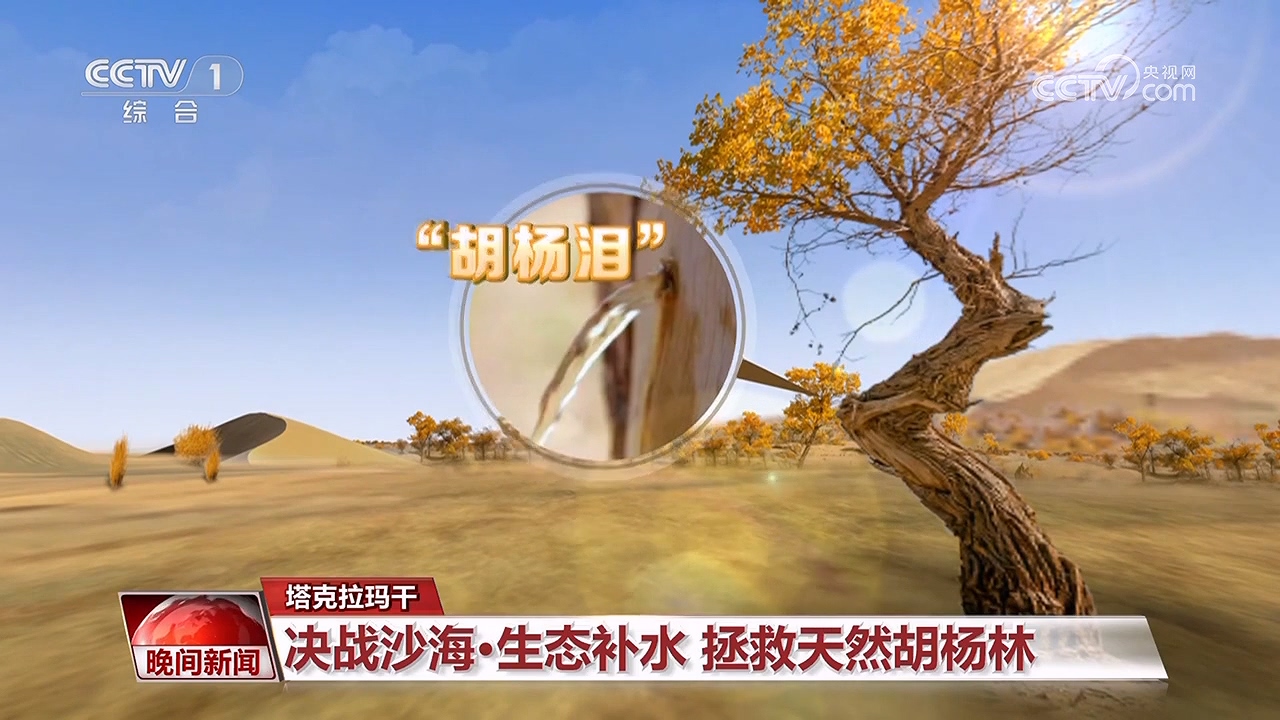 決戰(zhàn)沙海｜護河守林潤綠洲(圖10)