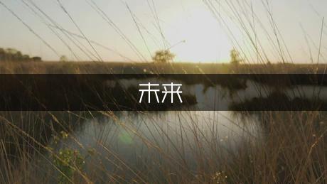 ST-5 微小衛(wèi)星及其空間飛行驗-為未來微小衛(wèi)星的空間應(yīng)用展