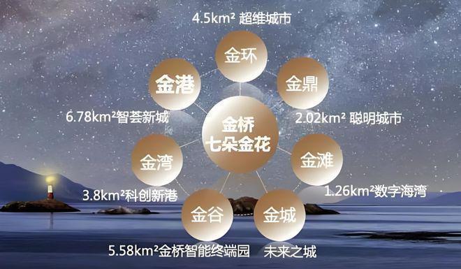 金港星海灣（金港星海灣）2024年官方網(wǎng)站-百度百科(圖2)