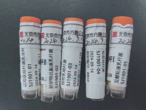 聚焦細(xì)分市場(chǎng)發(fā)展賽哺高定義2025益生菌新標(biāo)桿(圖4)