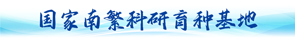 衛(wèi)星視角看中國｜大國工程“瞰”變化(圖13)