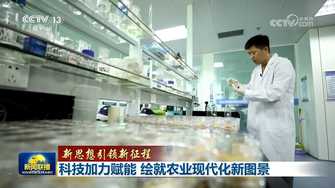 【新思想引領(lǐng)新征程】科技加力賦能繪就農(nóng)業(yè)現(xiàn)代化新圖景(圖4)