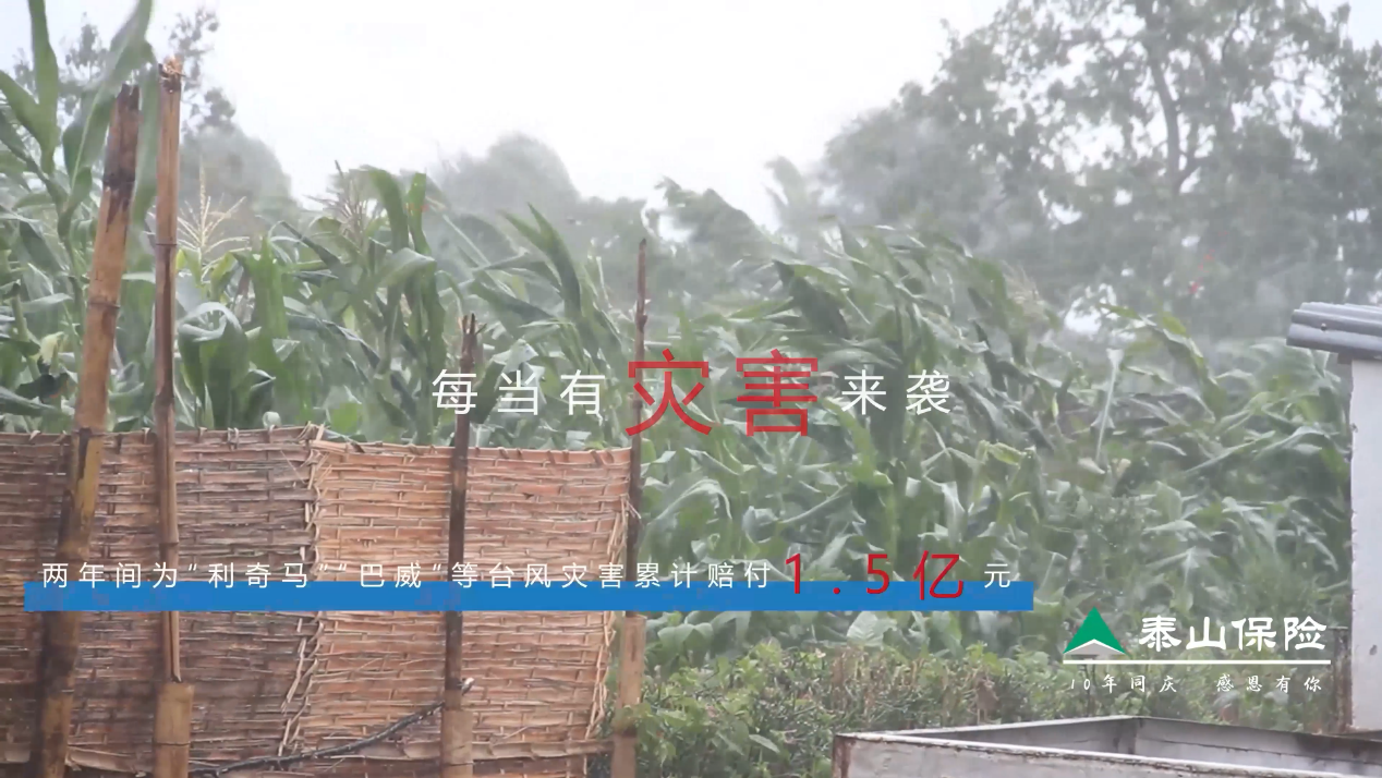 科技賦能農(nóng)險(xiǎn)“雙精準(zhǔn)”泰山保險(xiǎn)全力護(hù)航鄉(xiāng)村振興(圖2)