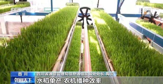 分辨率達(dá)05米 “天府糧倉”用上了衛(wèi)星遙感技術(shù)(圖6)