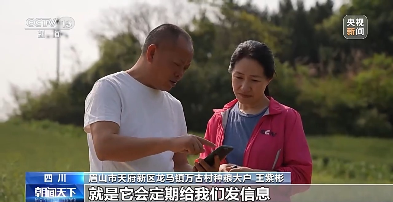 央媒看四川丨分辨率達(dá)05米 “天府糧倉(cāng)”用上了衛(wèi)星遙感技術(shù)(圖2)